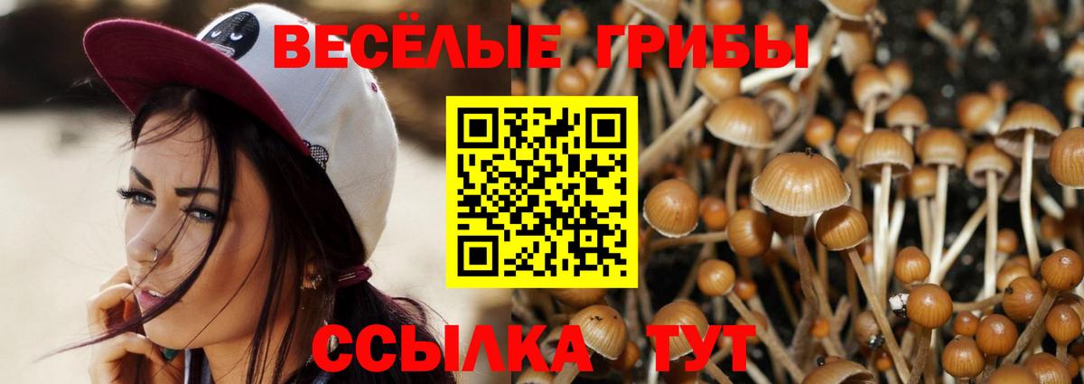 Галлюциногенные грибы мицелий  Вход с VPN  Псилоцибиновые грибы Psilocybe  Богданович 